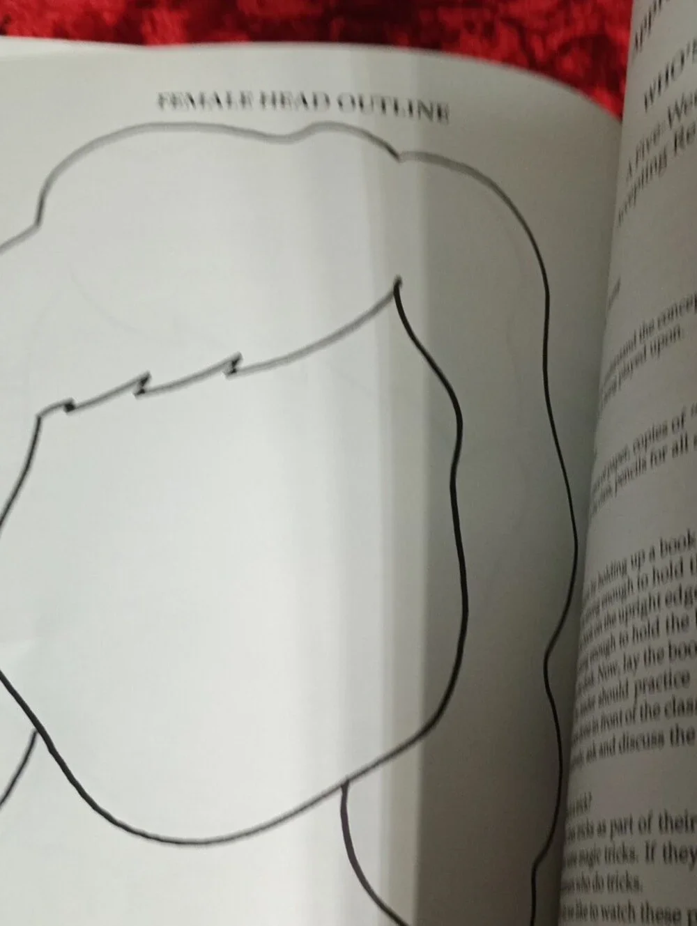 Book Classroom Guidance K-3
